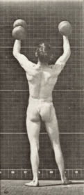 Plate 323 Lifting and letting down two 50 lb. dumbbells — figure reference